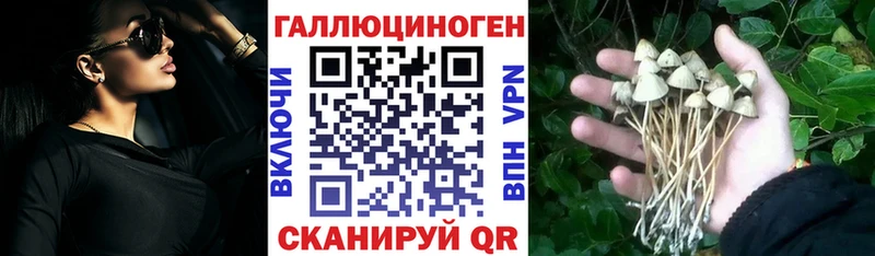 Купить где  Конаково  Галлюциногенные грибы GOLDEN TEACHER 